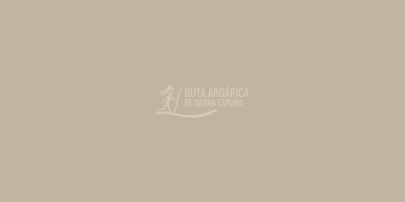 Las diferencias también eran sociales. En el interior de los asentamientos hallamos enterramientos principalmente individuales con ajuares en los que queda constancia de la existencia de desigualdades sociales.