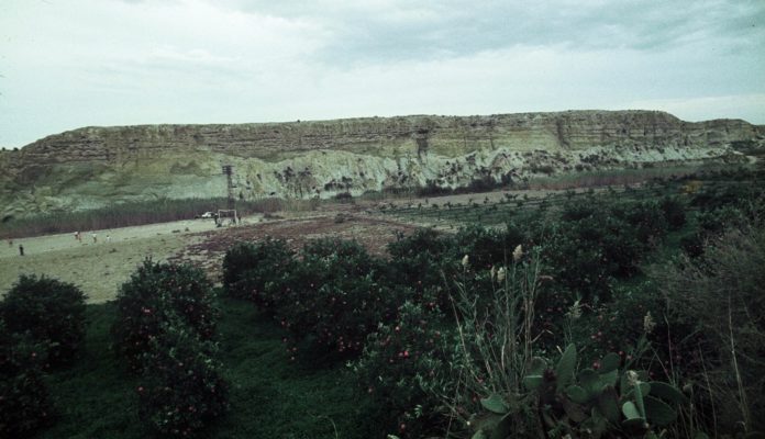 A finales del siglo XIX, los hermanos Henri y Louis Siret excavaron el yacimiento almeriense de El Argar (Antas) y desde entonces utilizamos el topónimo de este lugar para hablar de “sociedad de El Argar” o simplemente “sociedad argárica”.