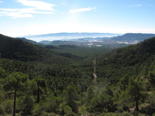 Vista desde Sierra Espuña hacia el SE. Al fondo se extiende el Valle del Guadalentín, a la derecha las estribaciones meridionales de la Sierra de la Tercia