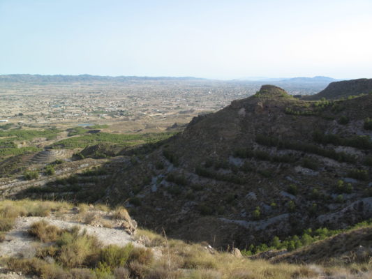 Vista general del Cerro del Buitre. Vemos, por un lado, los aterrazamientos de ICONA que dañaron el enclave calcolítico, y, por otro, el control estratégico del Valle del Guadalentín.