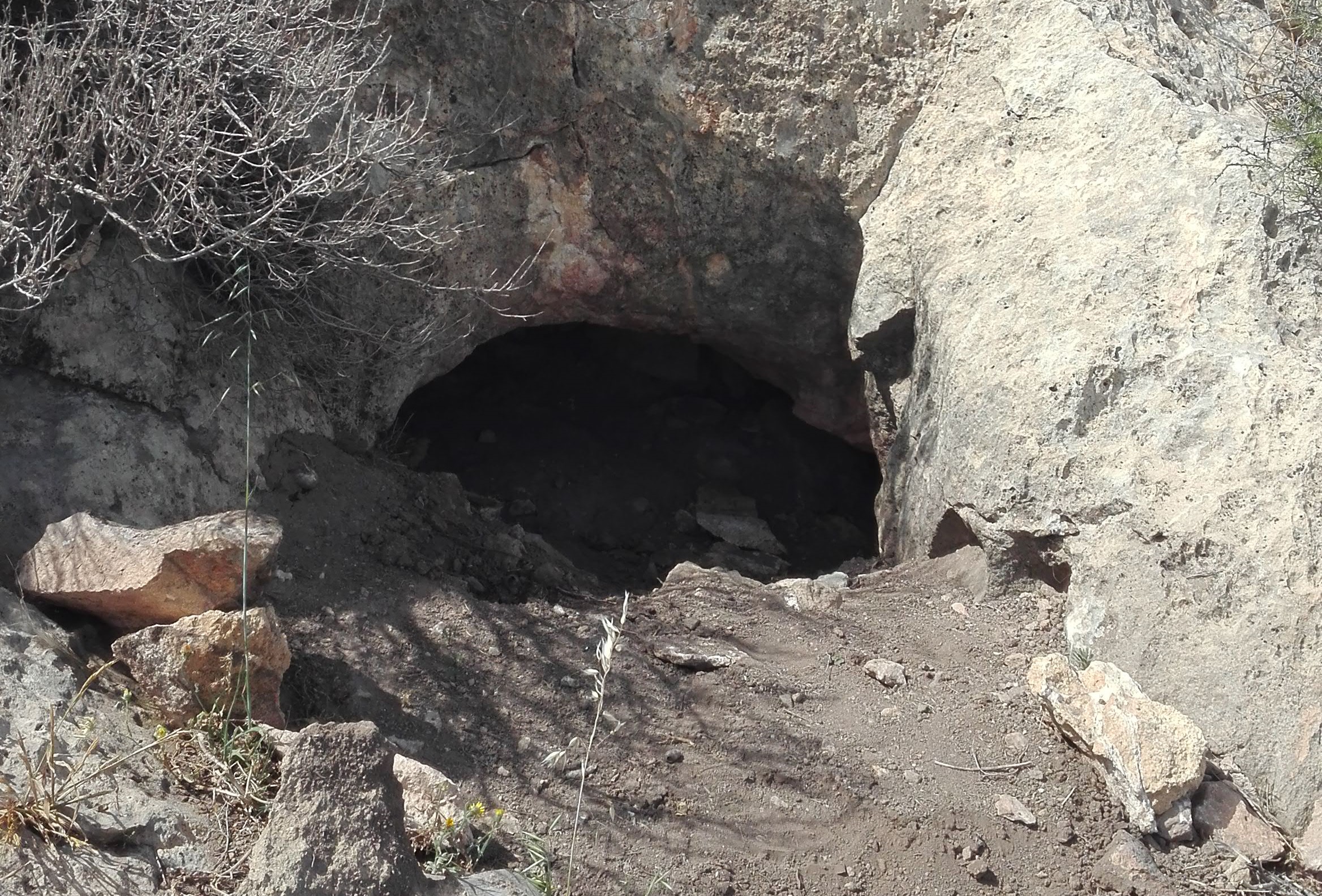 Entrada de la Cueva de la Tazona.